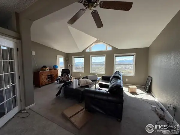 1049 Hewlett Gulch RD, Livermore, CO 80536