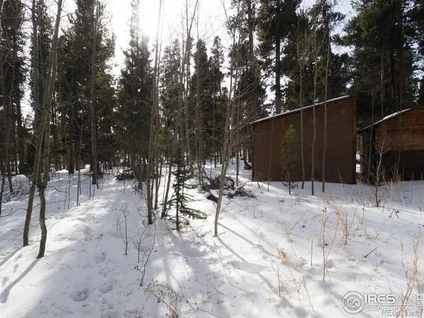 0 Long Trail RD, Black Hawk, CO 80422