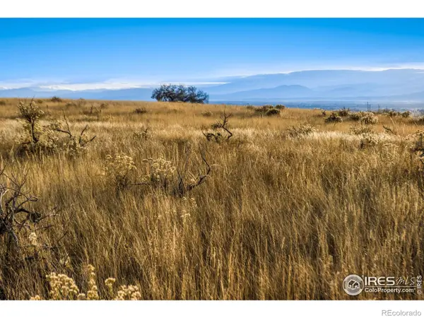 7913 County Road 84, Fort Collins, CO 80524