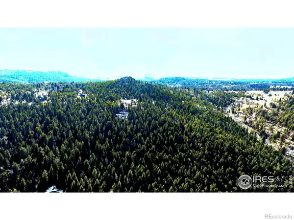0 Snowy TRL, Conifer, CO 80433