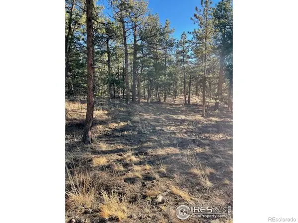 0 Pine DR, Lyons, CO 80540