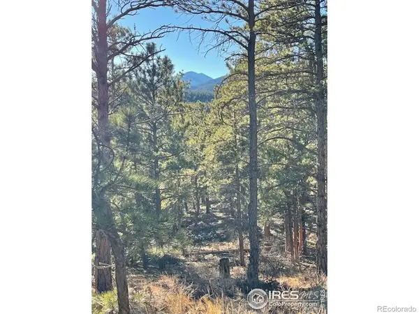 0 Pine DR, Lyons, CO 80540