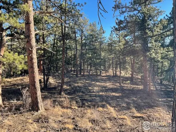 0 Pine DR, Lyons, CO 80540