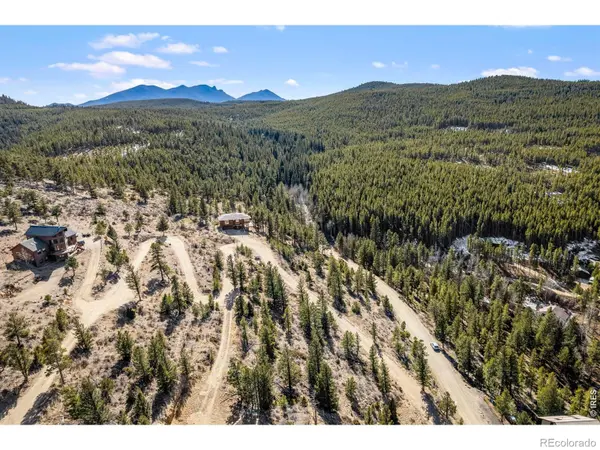 58 Doe TRL, Nederland, CO 80466