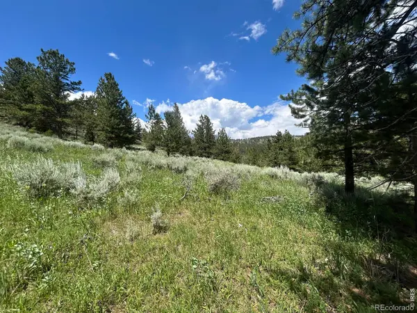 416 Comanche CIR, Red Feather Lakes, CO 80545