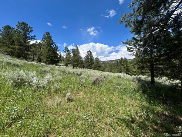 416 Comanche CIR, Red Feather Lakes, CO 80545