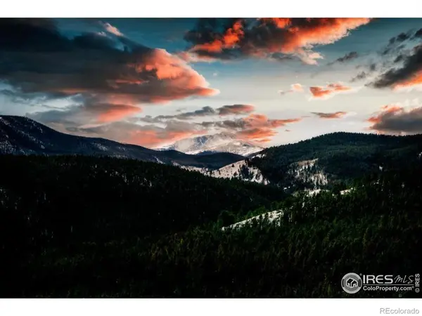 14 Caribou Ridge DR, Nederland, CO 80466