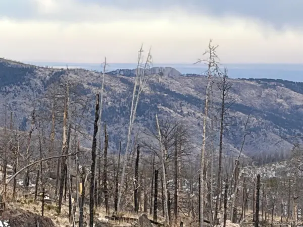 2025 Granite RD, Bellvue, CO 80512