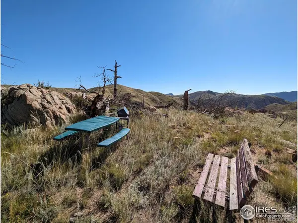 1360 Meadow Mountain DR, Livermore, CO 80536