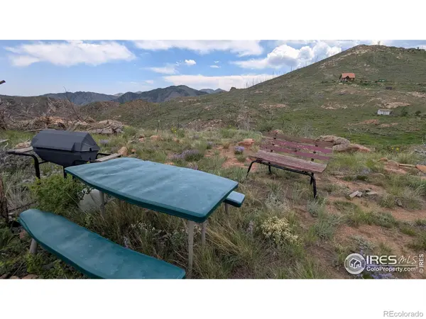 1360 Meadow Mountain DR, Livermore, CO 80536