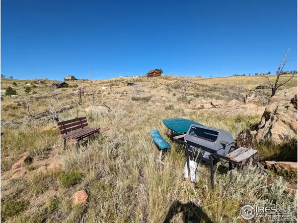 1360 Meadow Mountain DR, Livermore, CO 80536
