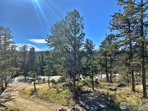 24192 W County Road 74e, Red Feather Lakes, CO 80545