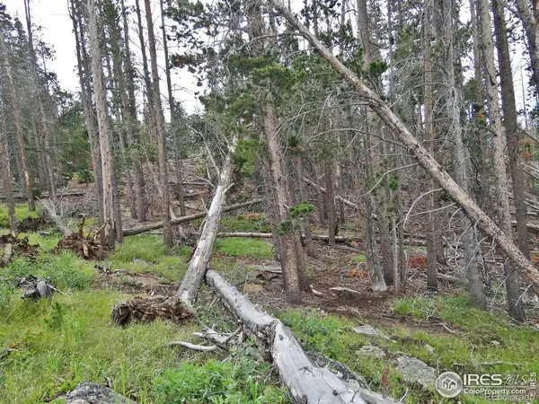 1683 Osage TRL, Red Feather Lakes, CO 80545