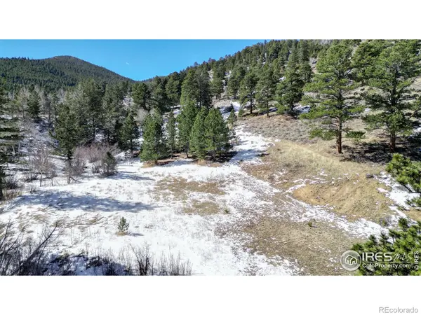 2799 Kiowa CT #Lot 24, Estes Park, CO 80517