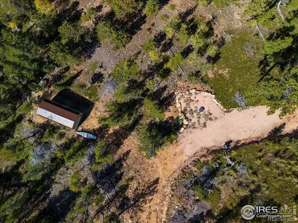 1601 Osage TRL, Red Feather Lakes, CO 80545