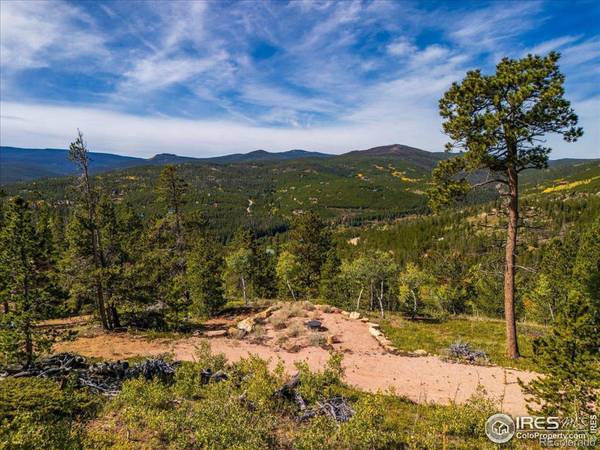 1601 Osage TRL, Red Feather Lakes, CO 80545