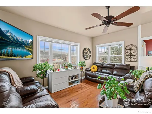 365 N Bridge ST, Nederland, CO 80466