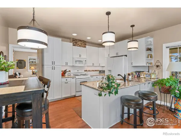 365 N Bridge ST, Nederland, CO 80466