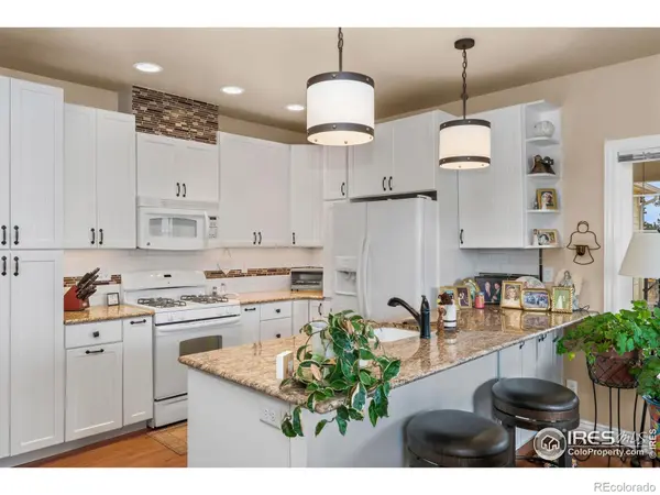 365 N Bridge ST, Nederland, CO 80466