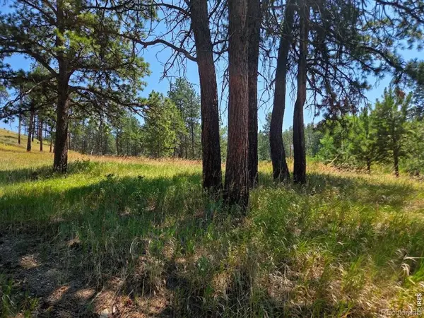 620 Davis Ranch RD, Bellvue, CO 80512