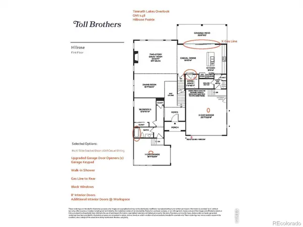 5580 Blacksmith AVE, Timnath, CO 80547