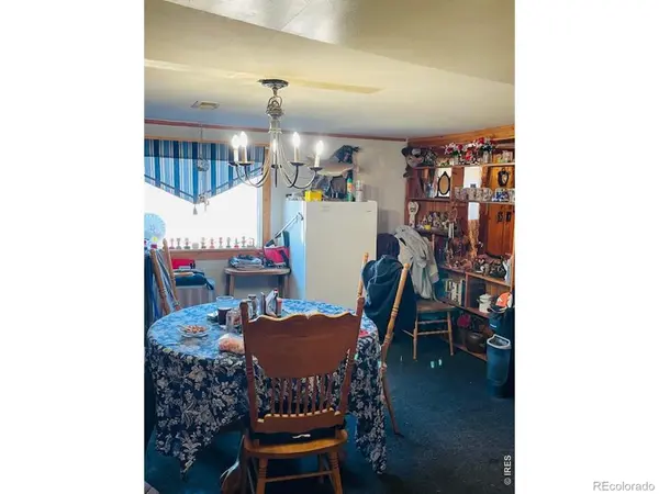 248 Lafever ST, Walden, CO 80480
