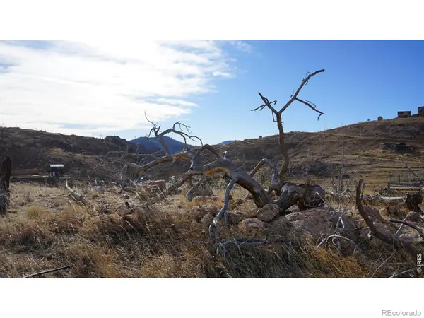 654 Horse Mountain DR, Livermore, CO 80536
