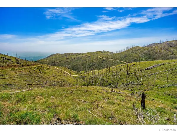 1600 Whale Rock RD, Bellvue, CO 80512