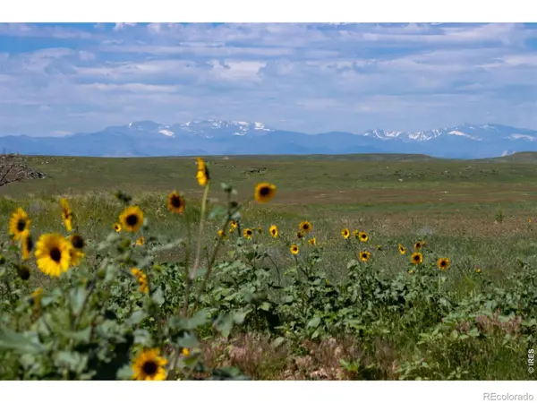 46 TBD County Road, Carr, CO 80612