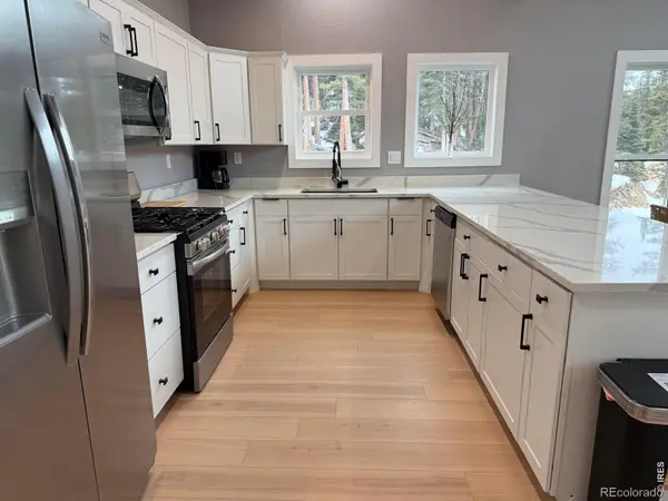 950 Gold Pan LN, Fairplay, CO 80440