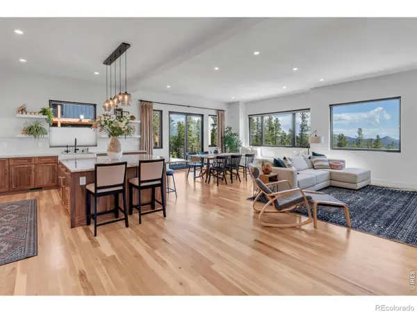 11 Juneau CIR, Nederland, CO 80466