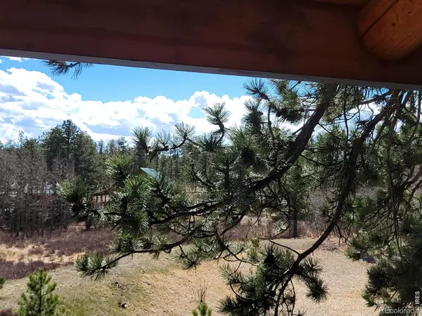 2225 N County Road 73c, Red Feather Lakes, CO 80545