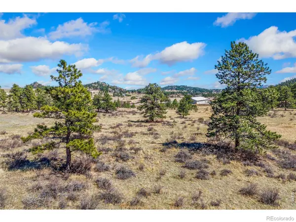 126 Cucharas Mountain DR, Livermore, CO 80536