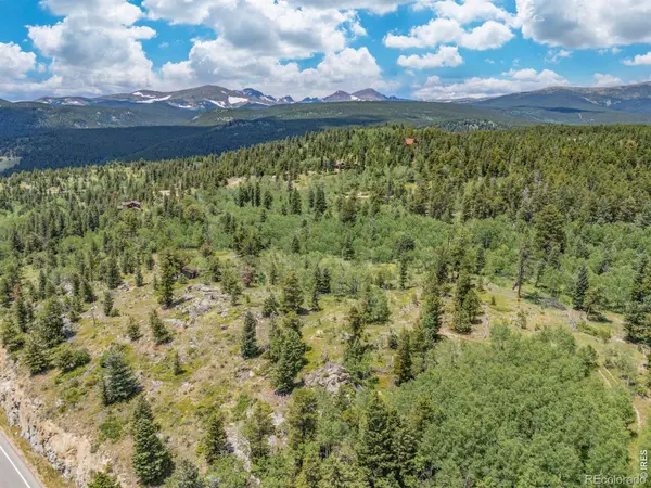 1568 County Road 103, Nederland, CO 80466
