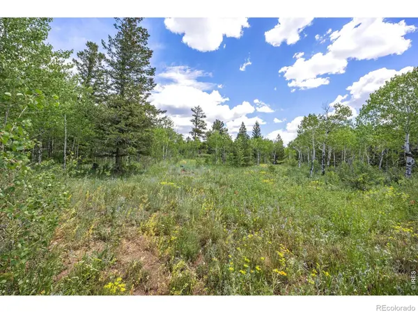 1568 County Road 103, Nederland, CO 80466