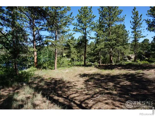 1001 Fox Acres DR, Red Feather Lakes, CO 80545
