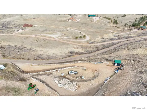 100 Sheep Mountain CT, Livermore, CO 80536