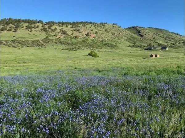 223 Stone Canyon RD, Lyons, CO 80540