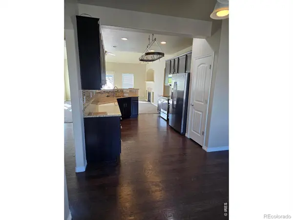959 Antila AVE, Loveland, CO 80537