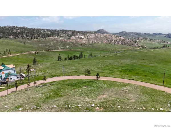 181 Meadow Mountain DR, Livermore, CO 80536