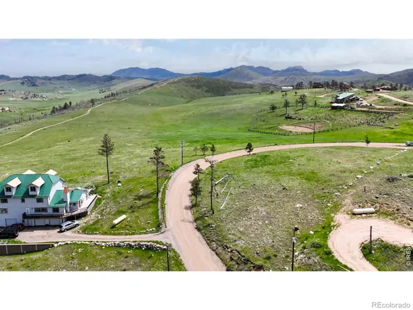 181 Meadow Mountain DR, Livermore, CO 80536