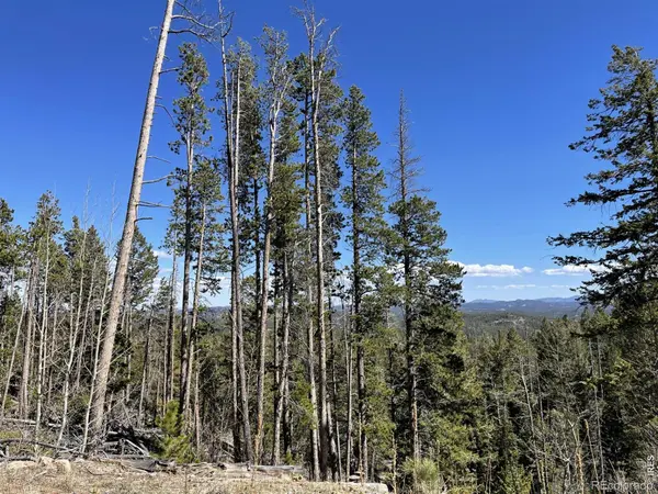66 Piegan CT, Red Feather Lakes, CO 80545