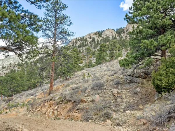 825 Castle Mountain RD, Estes Park, CO 80517