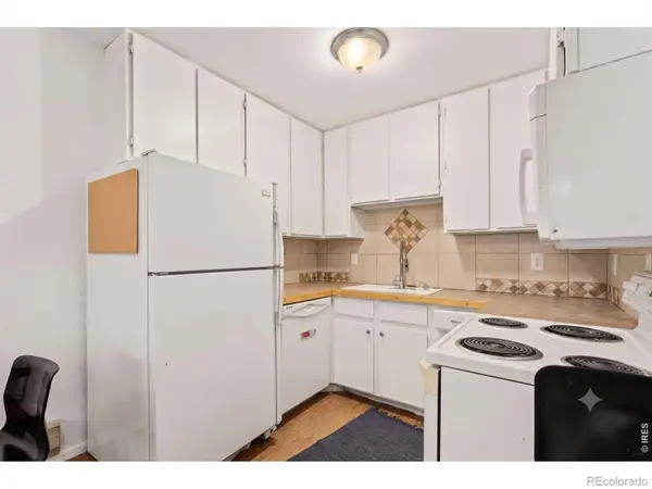 1209 W Plum ST #6, Fort Collins, CO 80521