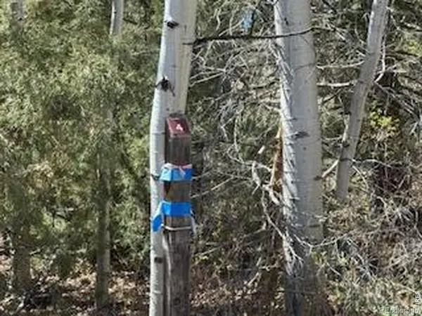 400 Fox Acres DR, Red Feather Lakes, CO 80545