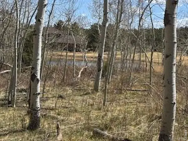 400 Fox Acres DR, Red Feather Lakes, CO 80545
