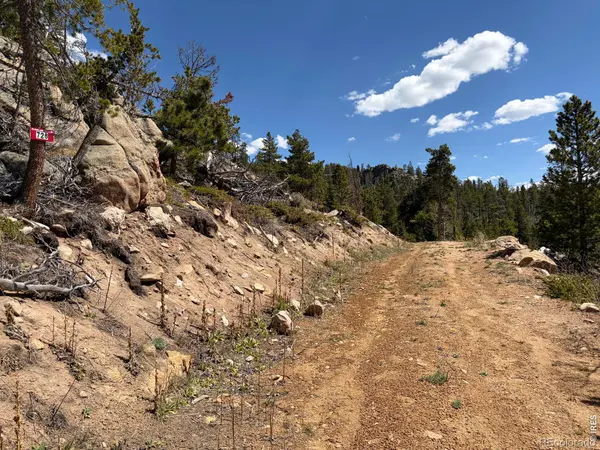 726 Micmac DR, Red Feather Lakes, CO 80545