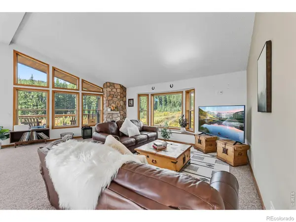 162 S Silk Sisters PL, Fairplay, CO 80440
