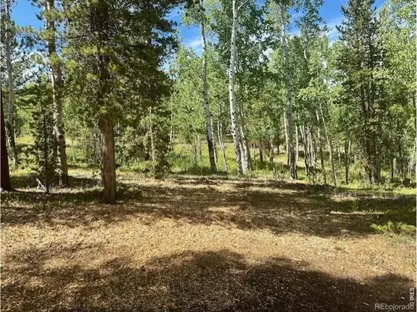 293 Aspen CIR, Black Hawk, CO 80422