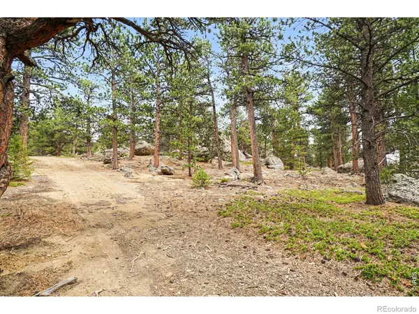 12190 Highway 7, Allenspark, CO 80510